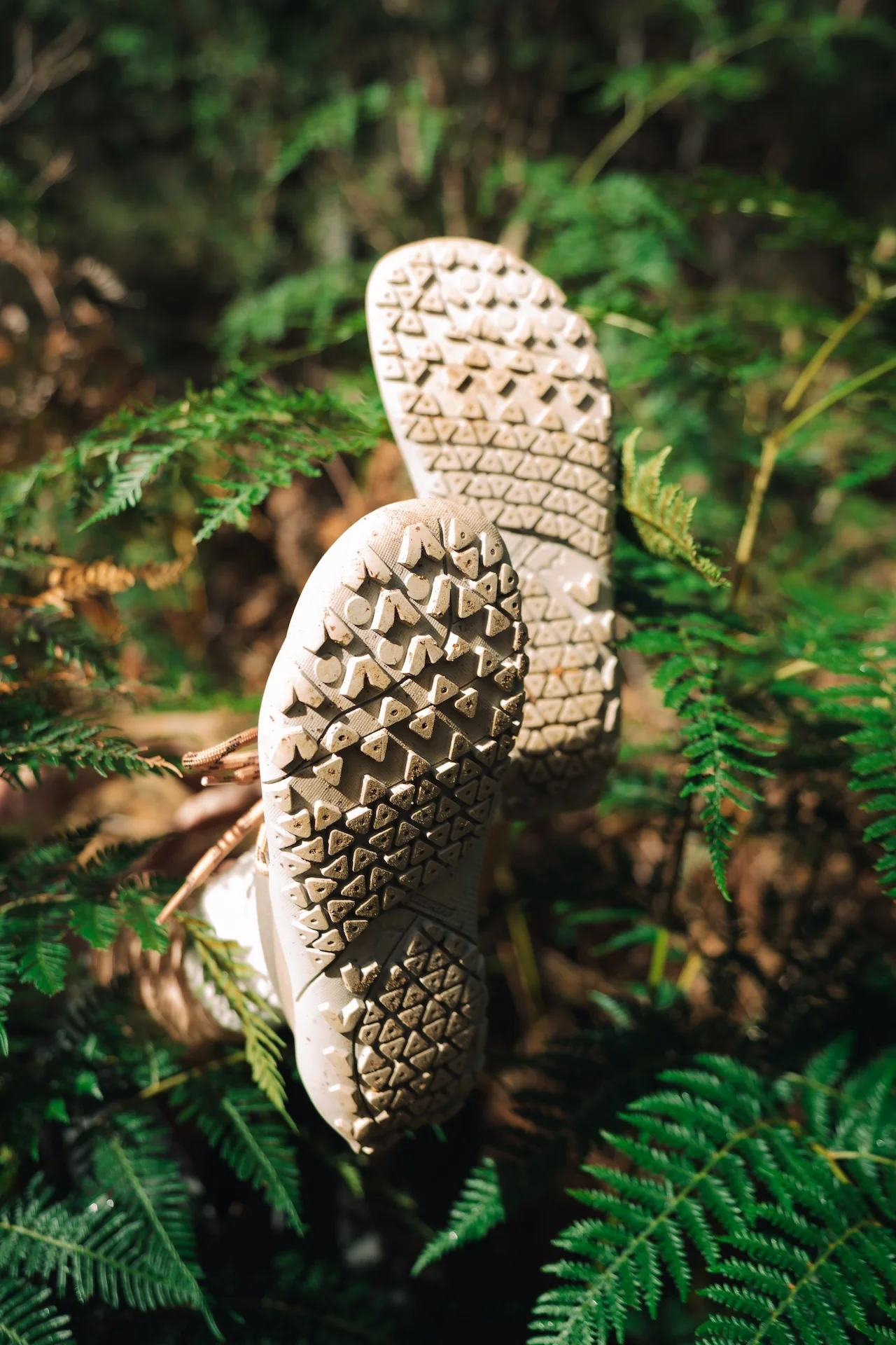 WILD Lite VALLEY Hiking Shoes (vegan friendly) - Image 4